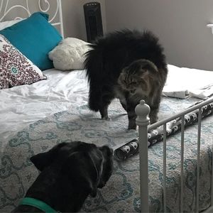 Meet your Posher, Jen